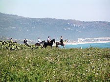 Spain-Southern Spain-Feria del Caballo - Jerez